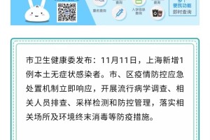 上海疫情最新动向，防控措施升级与市民生活新常态