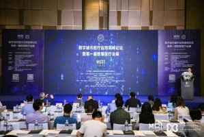上海市卫健委张勘，公共卫生改革的领航者与智慧医疗的践行者