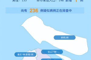 上海近期新冠疫情形势分析，防控措施与市民应对指南
