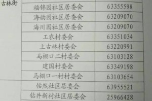 天津村委会电话查询指南，快速获取联系方式的方法与注意事项
