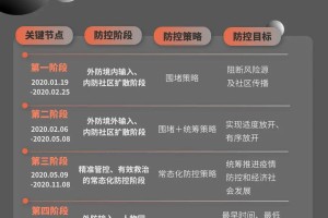 上海疫情精准防控，科学安排与高效应对策略