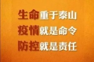 石家庄疫情反弹与杭州最新防控措施，双城抗疫纪实与启示