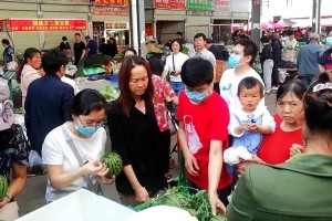 上海新冠肺炎疫情最新动态，防控措施、数据解析与未来展望