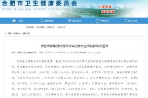 合肥疫情最新数据消息，防控措施升级与市民应对指南