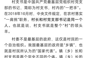 石家庄一村支书被指控，权力滥用背后的乡村治理困境