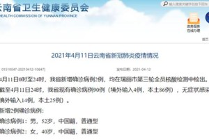 云南省新增新冠病例，最新动态与防控措施解析