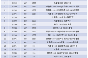 天津至乌鲁木齐航班时刻表及出行指南（2024最新版）