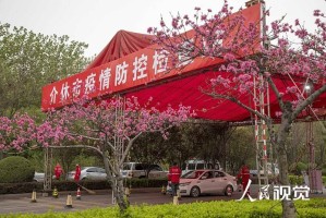 太原疫情关门，城市按下暂停键的背后与应对之道