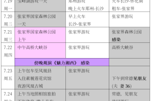 独家四Ill重庆疫情深度解析，防控措施、影响与未来展望