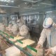 上海疫情最新进展，防控措施、社会反应与未来展望