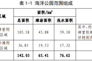 天津封海2021年公告，背景、影响与应对措施解析