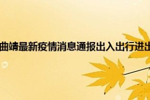 云南省疫情防控最新动态，政策调整与常态化管理措施解析