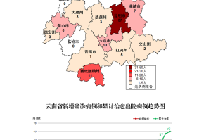 云南省新冠肺炎疫情最新动态与防控措施全面解析