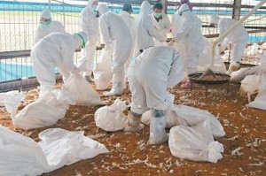 上海台湾人确诊，疫情下的两岸同胞互助与防疫挑战