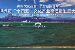 疫情下的呼和浩特，坚韧与希望的城市篇章