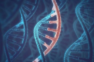 长春生物新冠疫苗叫什么名字？全面解析其名称与特点