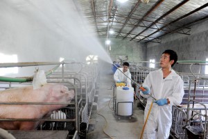 疫情下的陕西省水利建设，挑战与机遇并存的发展之路