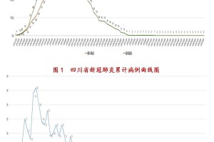 四川省新冠肺炎疫情防控，策略、成效与未来展望