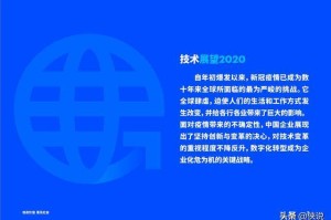 上海疫情形势趋稳，澳门疫情反弹，双城防疫对比与未来挑战