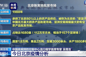 石家庄疫情数据表深度解析，数字背后的防疫挑战与应对