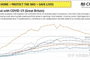 石家庄疫情死亡人数现状，最新数据与深度分析