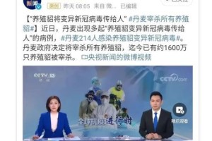 天津疫情是否封城？最新政策解读与市民应对指南