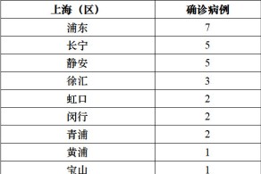 上海新冠肺炎疫情分布，区域热点与防控策略深度解析