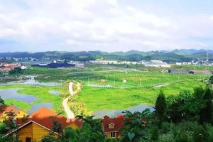乌鲁木齐村长，乡村治理的现代转型与地方特色
