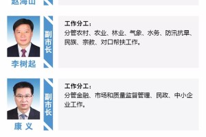天津市场监管委领导班子排位解析，职责分工与最新调整