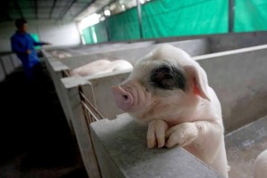 沈阳封锁范围详解，最新政策、影响区域及应对措施