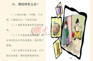上海市24号疫情，最新动态、防控措施与市民应对指南