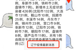 沈阳疫情速报，最新防控措施与市民生活指南