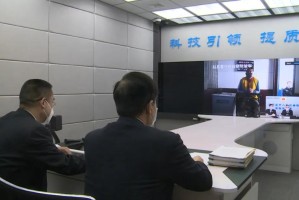 石家庄新冠疫情死亡病例统计与分析，数据背后的警示与思考