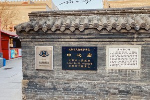 沈阳市小十字街封路路段详解，最新交通管制信息及绕行建议