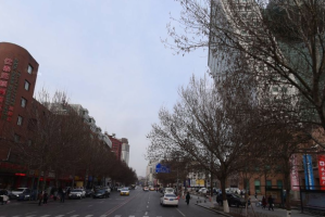 探秘沈阳大东区北顺城路，历史与现代交织的城市记忆