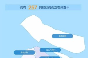 上海疫情实时动态查询网站，权威信息汇总与使用指南
