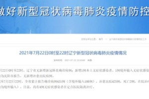 沈阳新增多少例？最新疫情数据与防控措施解析