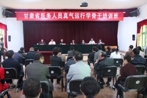 上海卫健委张雄，公共卫生领域的领军人物与抗疫先锋