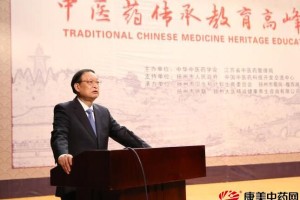 天津中医药大学哈虹，传承中医精髓的杰出学者与教育者