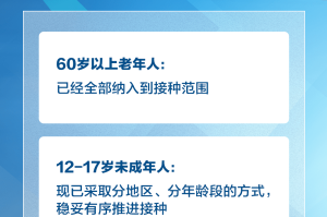 上海市疫情防控办公室官网，权威信息发布与便民服务指南