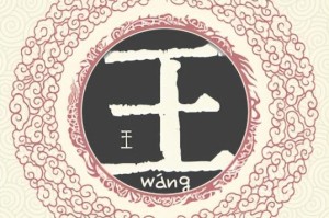 上海天津疫情原因深度解析，防控措施与病毒溯源的双重挑战