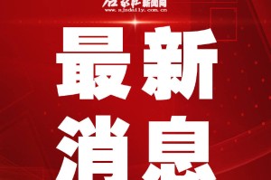石家庄疫情行动轨迹查询，如何快速获取最新疫情动态？