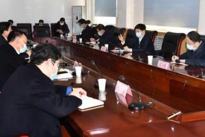 石家庄疫情死亡一例，详细调查与背景分析
