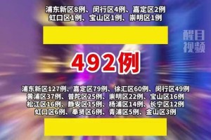 上海疫情最新动态，各区详情分布与防控措施解析