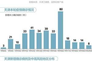 天津疫情走势图深度解析，数据背后的防控策略与未来预测