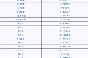 上海市疫情防控电话号码全指南，关键时刻的救命热线