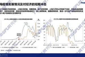 上海疫情形势深度分析，现状、挑战与未来展望
