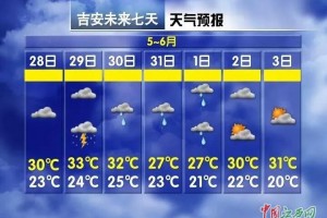云南省疫情最新动态与上海市未来一周天气预报分析