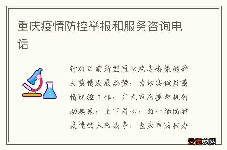 重庆市疫情防控领导小组电话，市民必知的紧急联系指南