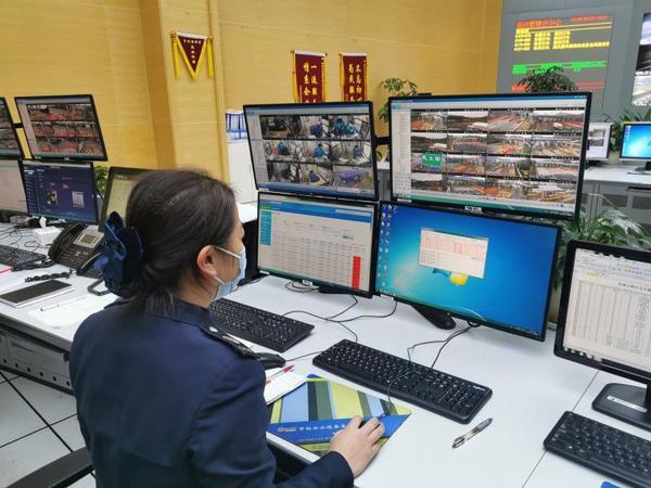 浙江省防疫措施，精准防控与科技赋能的典范